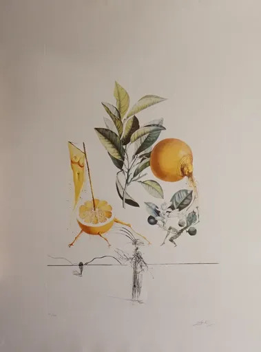 Salvador DALI - Print-Multiple - FlorDali/Les Fruits Grapefruit