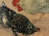 Georges MANZANA-PISSARRO - Pintura - Coq et poules