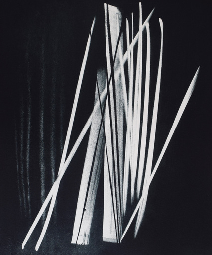 Hans HARTUNG - Estampe-Multiple - Untitled from: The Skin of Things