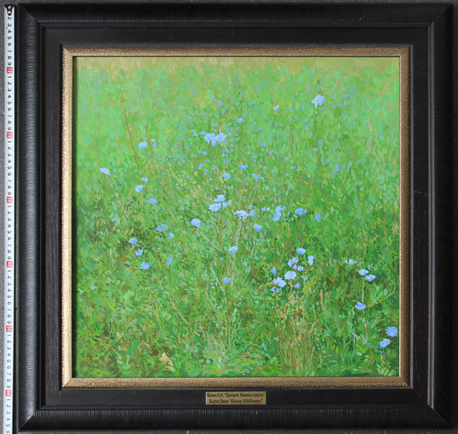 Simon L. KOZHIN - Peinture - Chicory. Wildflowers