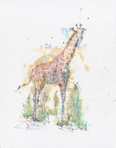 Michael ALAN - Disegno Acquarello - Giraffe