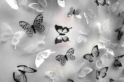Sumit MEHNDIRATTA - Sculpture-Volume - Butterfly Park 2