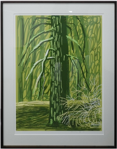 David HOCKNEY - Print-Multiple - Untitled No.18 from The Yosemite Suite