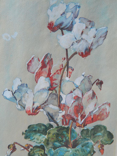 Antelma SANTINI - Drawing-Watercolor - NATURE MORTE - STILL LIFE - FLOWERS