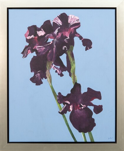 Charles PACHTER - Painting - Irises