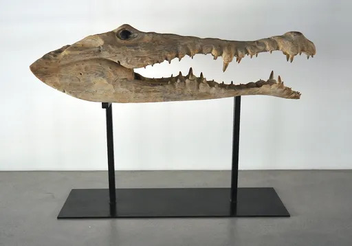 Quentin GAREL - Sculpture-Volume - crocodile