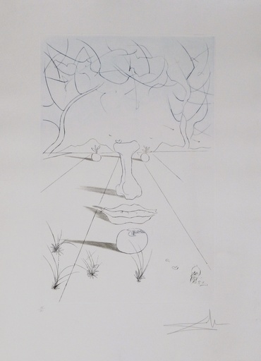 萨尔瓦多·达利 - 版画 - Aurelia Visage Surrealiste