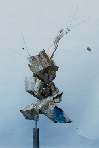 Guido LODIGIANI - 雕塑 - Scultura del 'Fiore' rappresenta l'acqua la vita