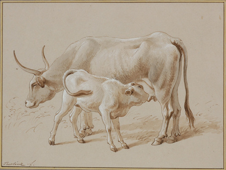 2021 Pencil Sketch Cows Images Stock Photos  Vectors  Shutterstock
