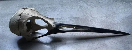 Quentin GAREL - Sculpture-Volume - Crane D'oiseau