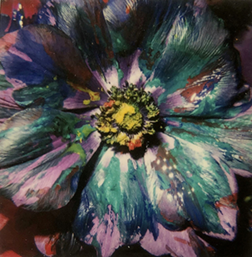 Nobuyoshi ARAKI - Photo - Polaroid flower