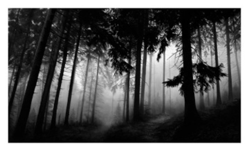 罗伯特•隆戈 - 版画 - Untitled (Fairmount Forest)