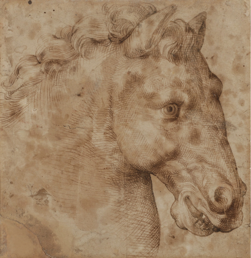 Bartolomeo PASSAROTTI - Dibujo Acuarela - Head of a Horse, Pegasus