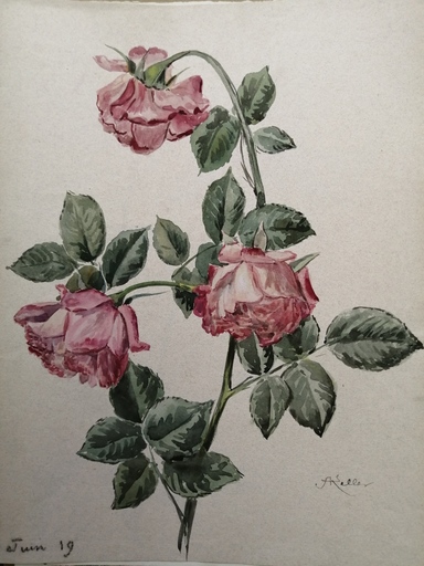 Alfred KELLER - Dibujo Acuarela - Roses