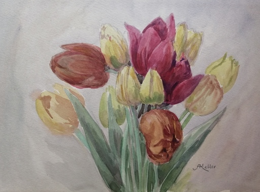 Alfred KELLER - Drawing-Watercolor - Tulipes
