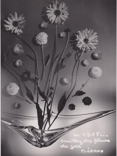 Pierre JAHAN - Photo - Cueillez des fleurs de joie