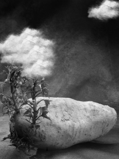 Giuseppe PERSIA - Fotografia - Natura morta con nuvole