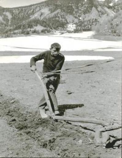 Henri CARTIER-BRESSON - Fotografia - (Young farmer working on a field)