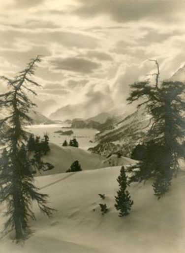 Albert STEINER - Photo - Winterlandschaft in Oberengadin