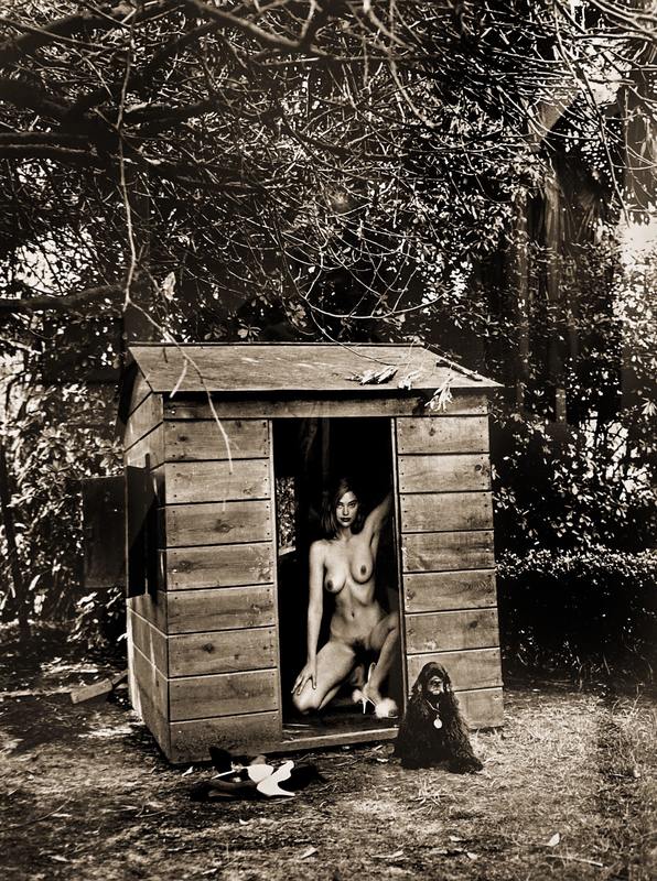 Helmut NEWTON - Fotografia - Domestic Nude n.7, Los Angeles 