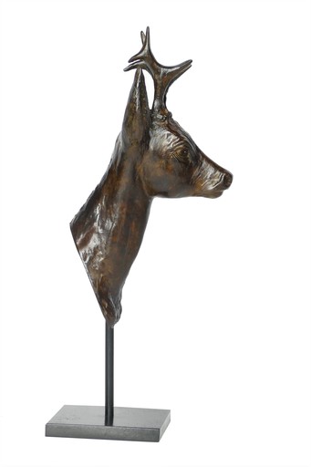 Damien COLCOMBET - Skulptur Volumen - Tête de chevreuil