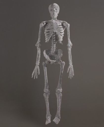Nicola BOLLA - 雕塑 - Vanitas (white skeleton)