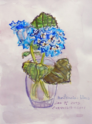 Jean-Pierre CHEVASSUS-AGNES - Dessin-Aquarelle - HORTENSIAS bleus de mon jardin