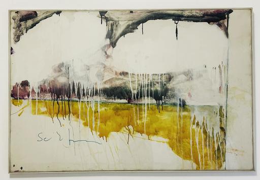Mario SCHIFANO - Painting - Paesaggio anemico