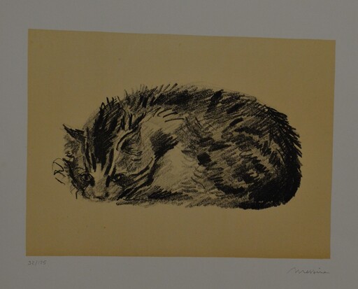 Francesco MESSINA - Print-Multiple - gatto
