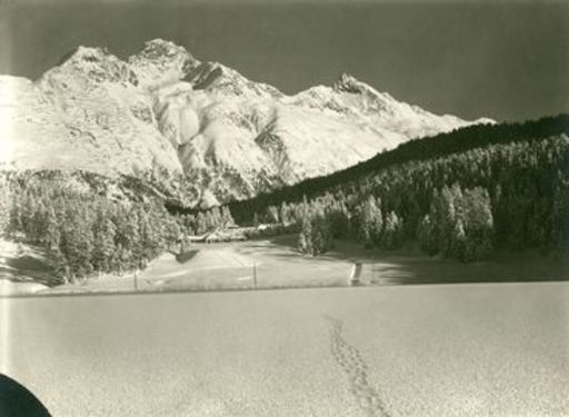 Albert STEINER - Photo - Ansicht vom See aus mit Piz Languard