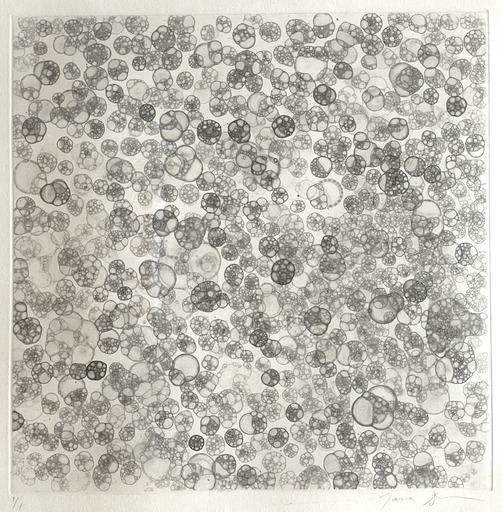 Tara DONOVAN - Stampa-Multiplo - Bubble Drawing