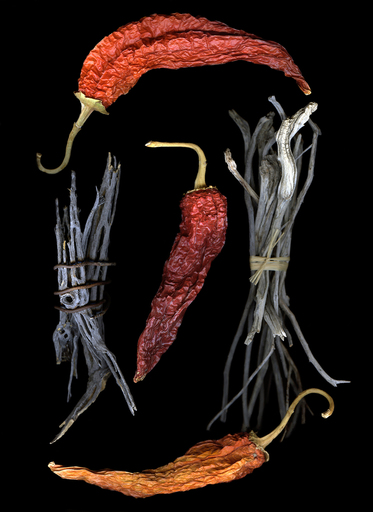 Claudia TOUTAIN-DORBEC - 照片 - Chili Peppers and Sticks - Southwest Series