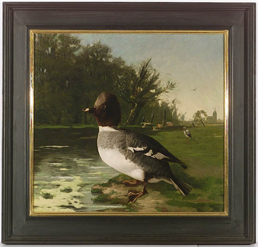 Carl Friedrich SCHULZ - 绘画 - "Wild Duck" by Karl Friedrich Schulz 