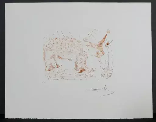 萨尔瓦多·达利 - 版画 - Album Rhinoceros