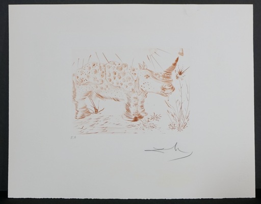 Salvador DALI - Print-Multiple - Album Rhinoceros