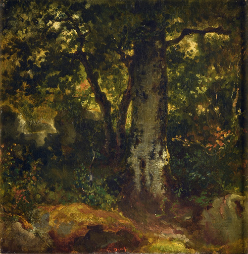 Narcisse Virgile DIAZ DE LA PEÑA - Peinture - Dans la forêt