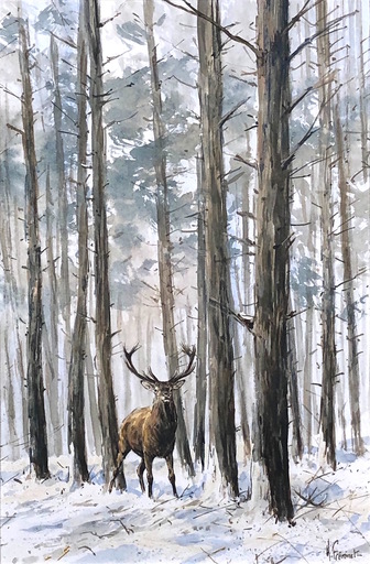 Arnaud FREMINET - Zeichnung Aquarell - Cerf dans les bois en hiver