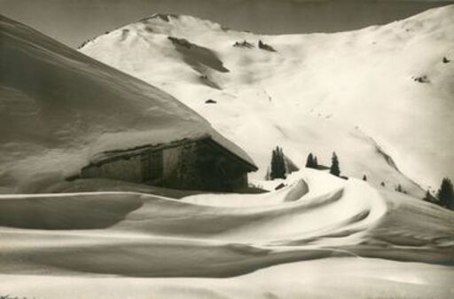 Jacques NAEGELI - Photography - Horntaube bei Gstaad