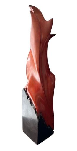 Gustavo VÉLEZ - 雕塑 - creciente