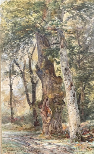 Armand Théophile CASSAGNE - Drawing-Watercolor - Sous bois