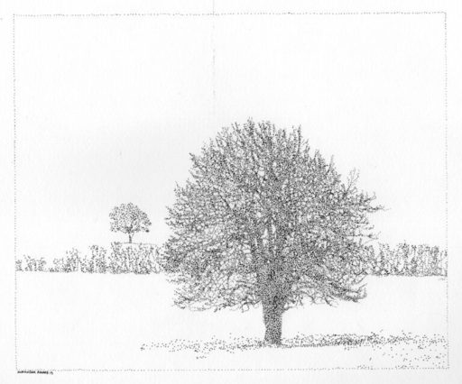 Alexandra ROUARD - Drawing-Watercolor - Tree