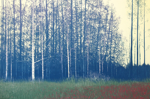 Benoît TRIMBORN - Peinture - Forêt bleue