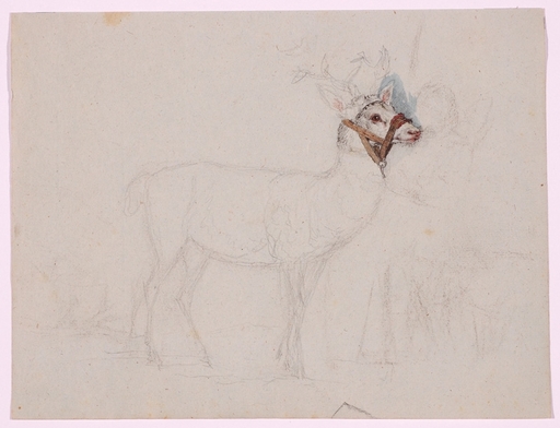 Wilhelm NAHL - Drawing-Watercolor - "Study of a Deer", First Half of the 19th Century