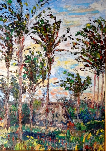 Paul C. HARI - Painting - Paysage du Costa Rica 