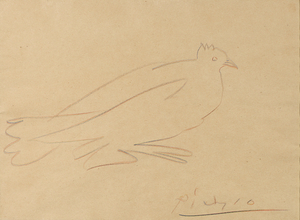 Pablo PICASSO - Zeichnung Aquarell - Pigeon