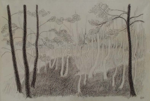 Ludvik DVORACEK - Zeichnung Aquarell - "Birch Forest" by Ludvik Dvoracek 