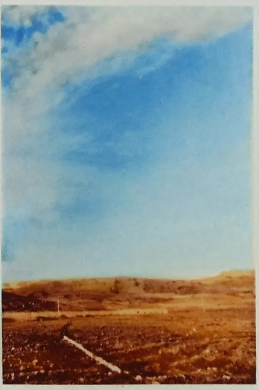 Landscape I Landschaft By Gerhard Richter Art Gerhard Richter Landscape I Landschaft