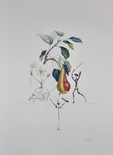 萨尔瓦多·达利 - 版画 - FlorDali/Les Fruits Pear