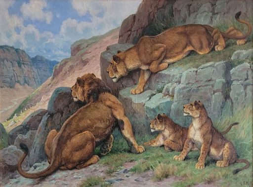 Georges Frédéric RÖTIG - Peinture - Famille de lions dans les montagnes de l'Atlas