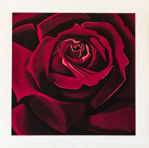 Lowell NESBITT - Stampa-Multiplo - Rose